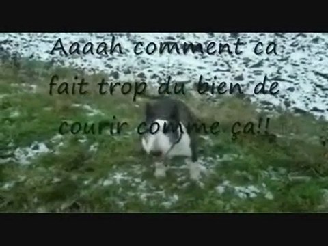 tess pète son cable!