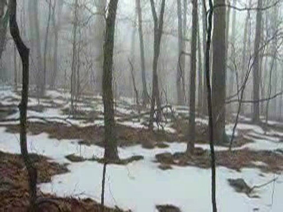 land for sale in greene county, land sale greene