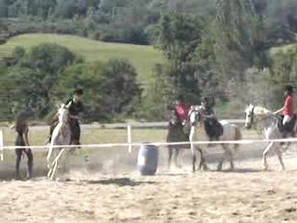 spectacle équestre  2009  006