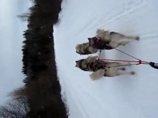 traineau piste blandine 2