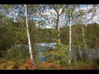 escapade automnale-show0