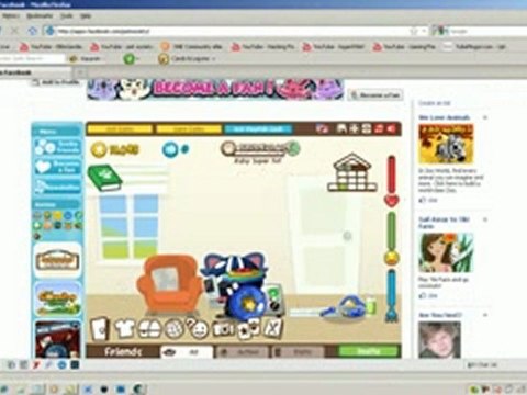 Pet Society Ball/Frisbee Throwing Hack/Money Hack