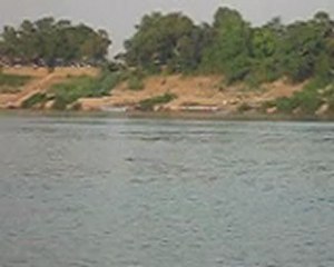 VIDEO DES DAUPHINS DU MÉKONG