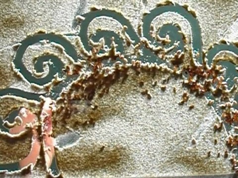 meilleurs voeux 2010