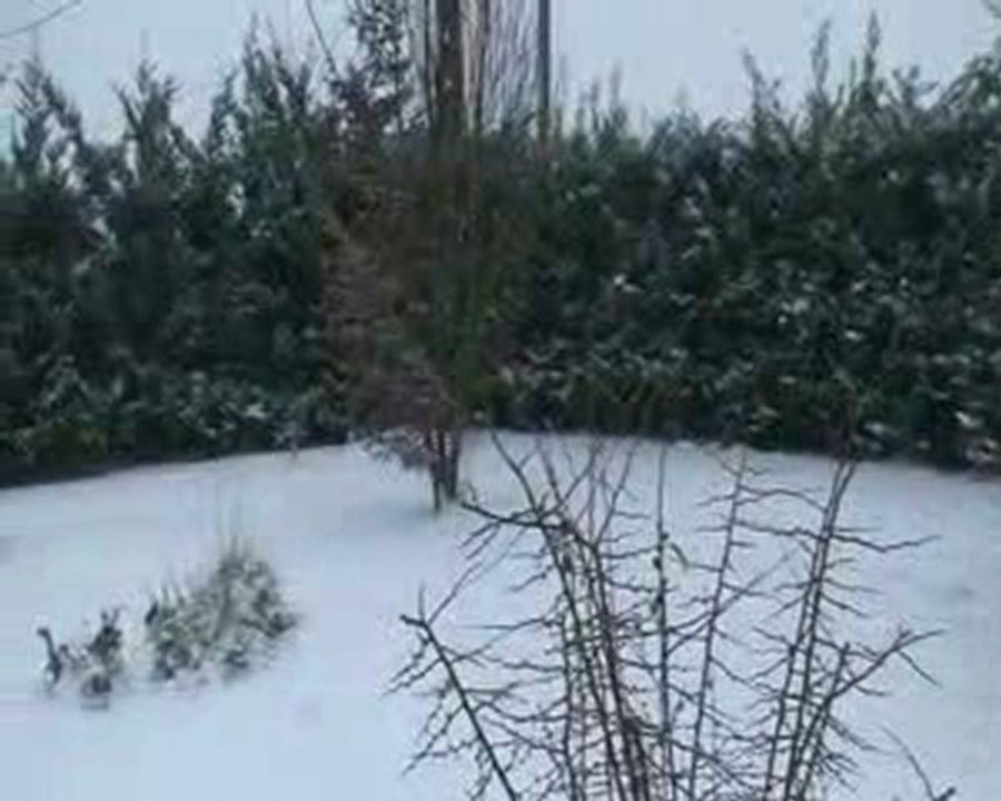 Neige sur les Bruyères