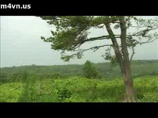 thon tinh thai duong 02_chunk_3