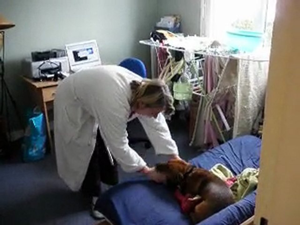 mèmère et son chien