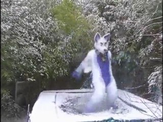 Emile in the snow - fursuit fun - Furry