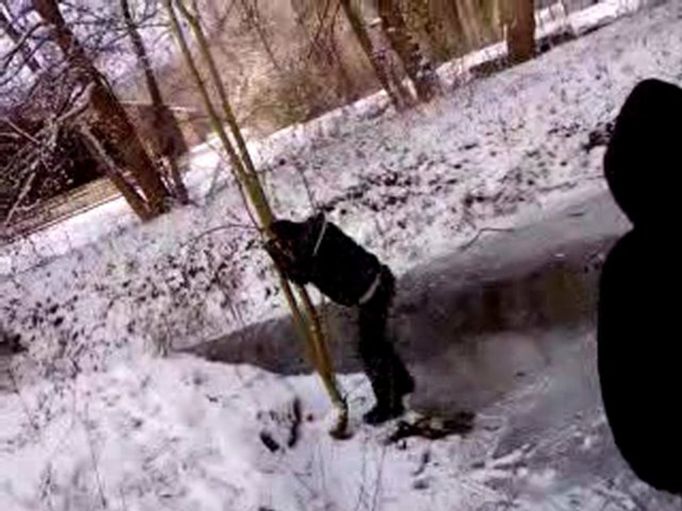 Maison Familiale Horticole de l'Essonne Verte