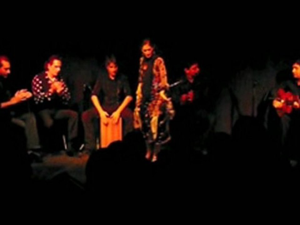 Tablao Noche Flamenca (2)
