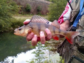 Saison de Pêche 2009