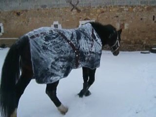 Lucky neige 9 janvier 2010