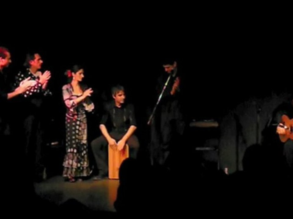 Tablao Noche Flamenca (3)