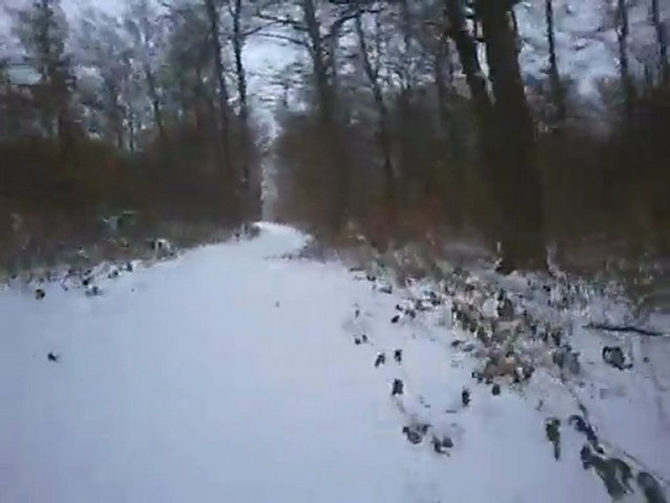 Quantya09012010 (3)