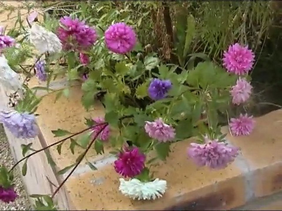 Une lecture au jardin Leroy Sème