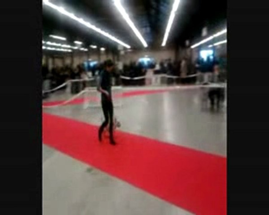 Dolbie au Paris dog show 2010