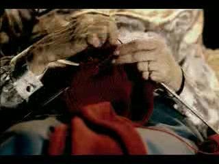 Videos de Gatos y Fútbol