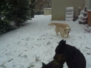 neige janvier 2010