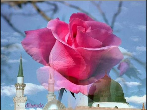 Mustafa Cihat Emrin Olur 2563 (Menzil DURAK)