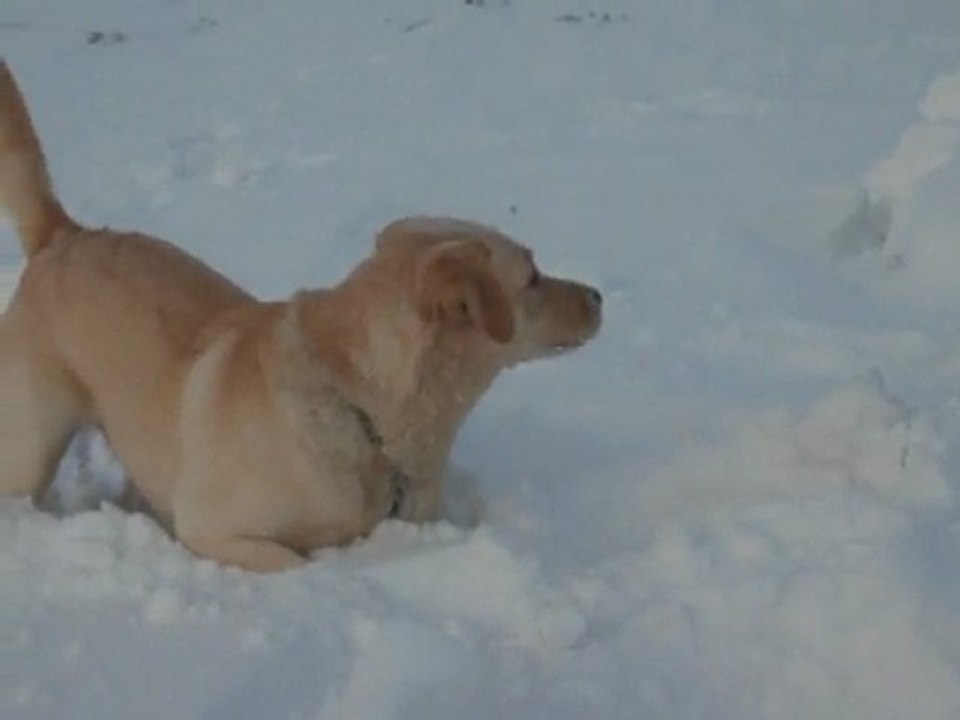 canelle neige 2