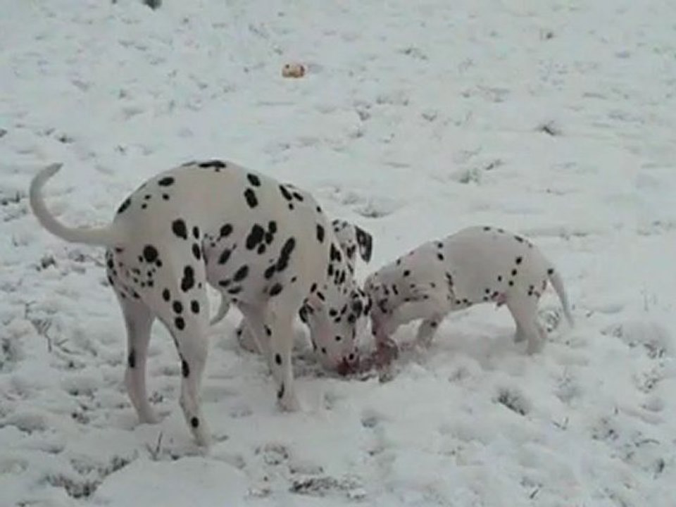 9 janvier 2009 : deux mois