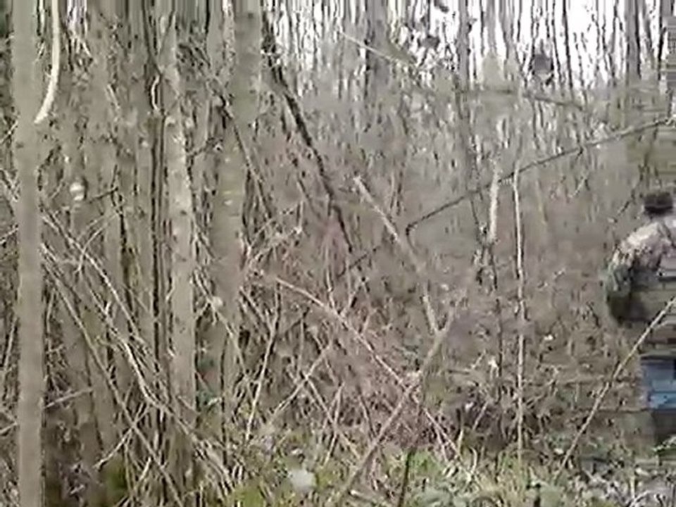 désia rené bois de mant 002