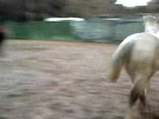 Vidéo0060