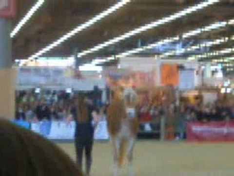 Salon du cheval Paris 2009-Pauline et Naïade