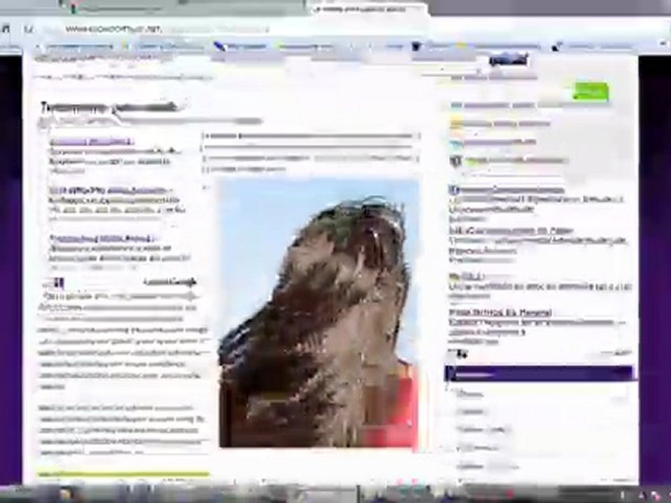 Espacio mujer www.espaciomujer.net