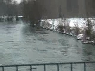 promenade avec chien