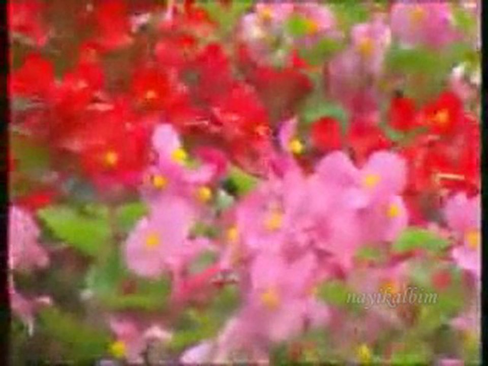 Mustafa Demirci Sultanım