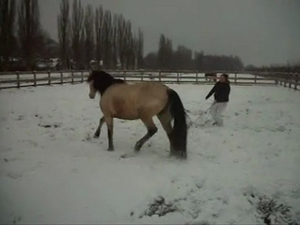 Marie et Poseido - Liberté sous la neige...