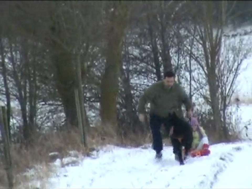 raven creeks cani-luge