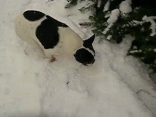 DSCN0128