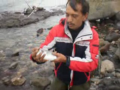 balikcilar PAŞA TEAM kıyıdan paşa zevki