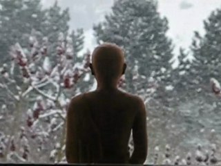 Forte neige en Janvier 2010