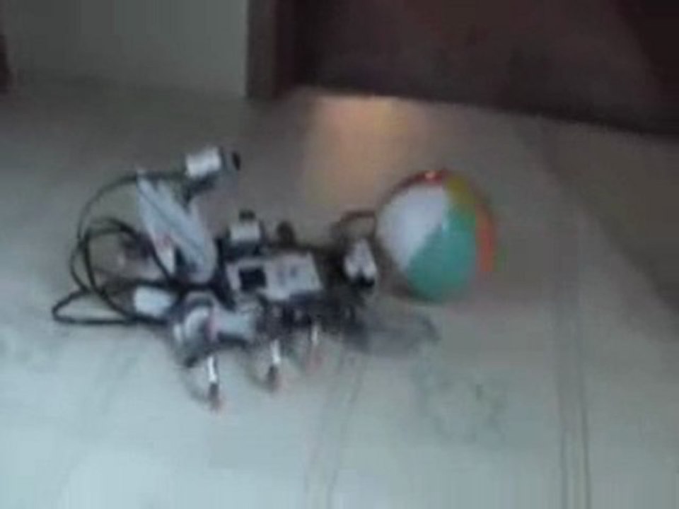 Scorpion