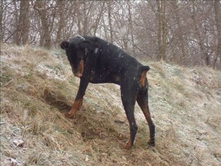 Titounet sous la neige