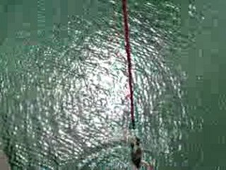 le saut à l'élastique de loys