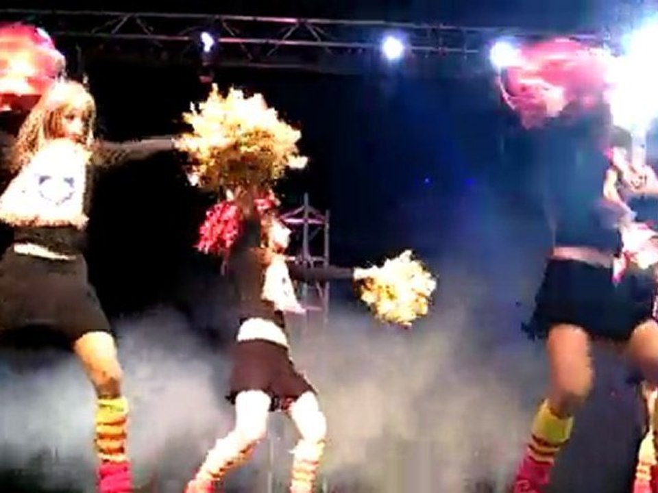 les flammes du roussillon  FORUM DES ASSOCIATIONS