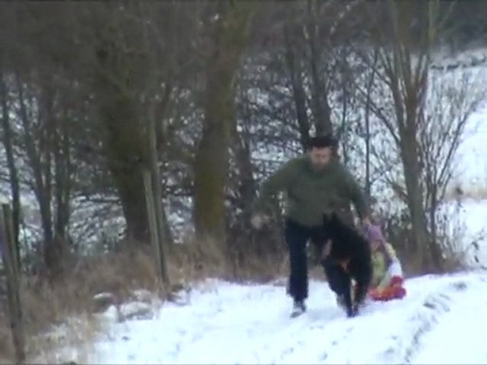 luge_2010