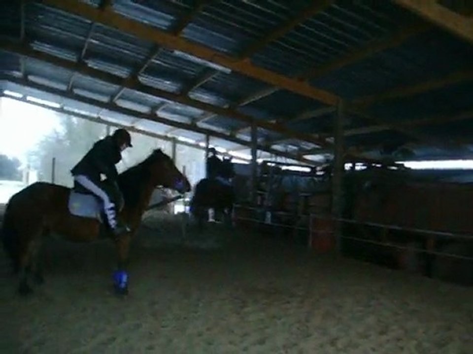 Saut de puce avec Pomard