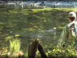 New Zealand Fly Fishing DVD - The Dead Drift - Stealth Films