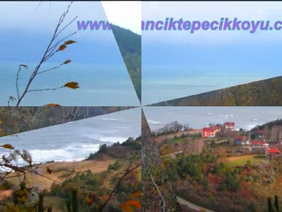 Ayancık davul zurna 57