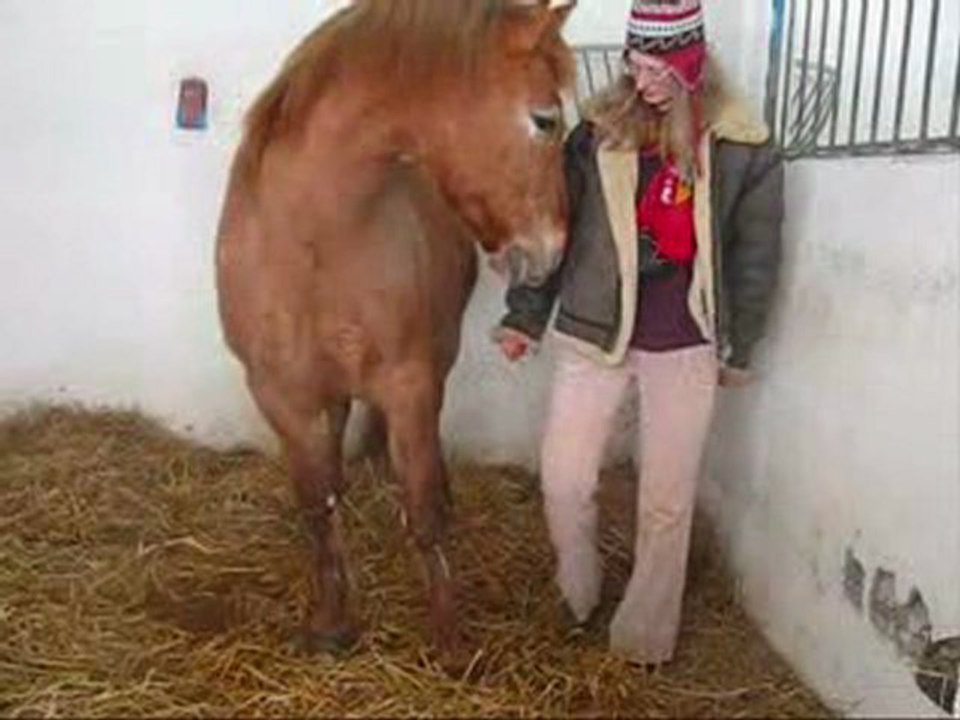 apprentissage de la jambette