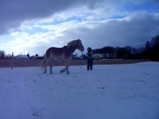 séance ds la neige!