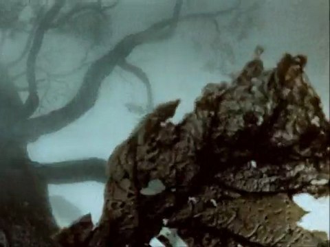 ЕЖИК В ТУМАНЕ- The hedgehog in a fog