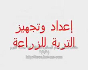 زراعة الطماطم