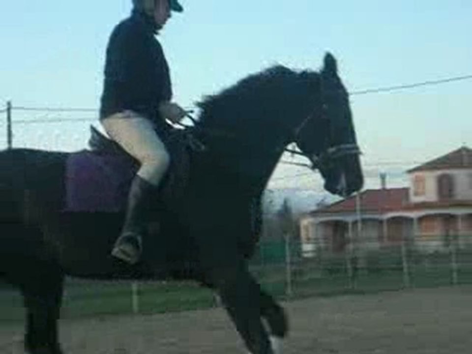 Cheval 4 ans galop avec Eric