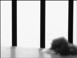 Hydra Lernaïa studio teaser.